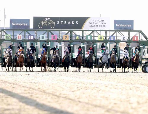 Turfway Park To Host $1 Million Synthetic Championships in December