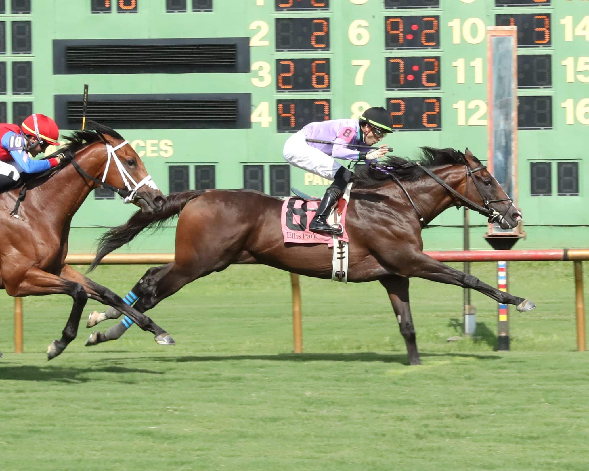 NSFG 1958 Yearbook by Williston Northampton School - Issuu, image size:2048x1638