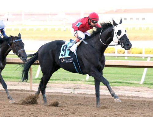 Notes, Quotes & Photos From the To Much Coffee Stakes at Horseshoe Indy: CJ’s Storm