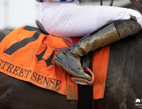Notes, Quotes & Photos From the Street Sense Stakes, Rags to Riches Stakes: Incredibolt & Life of Joy
