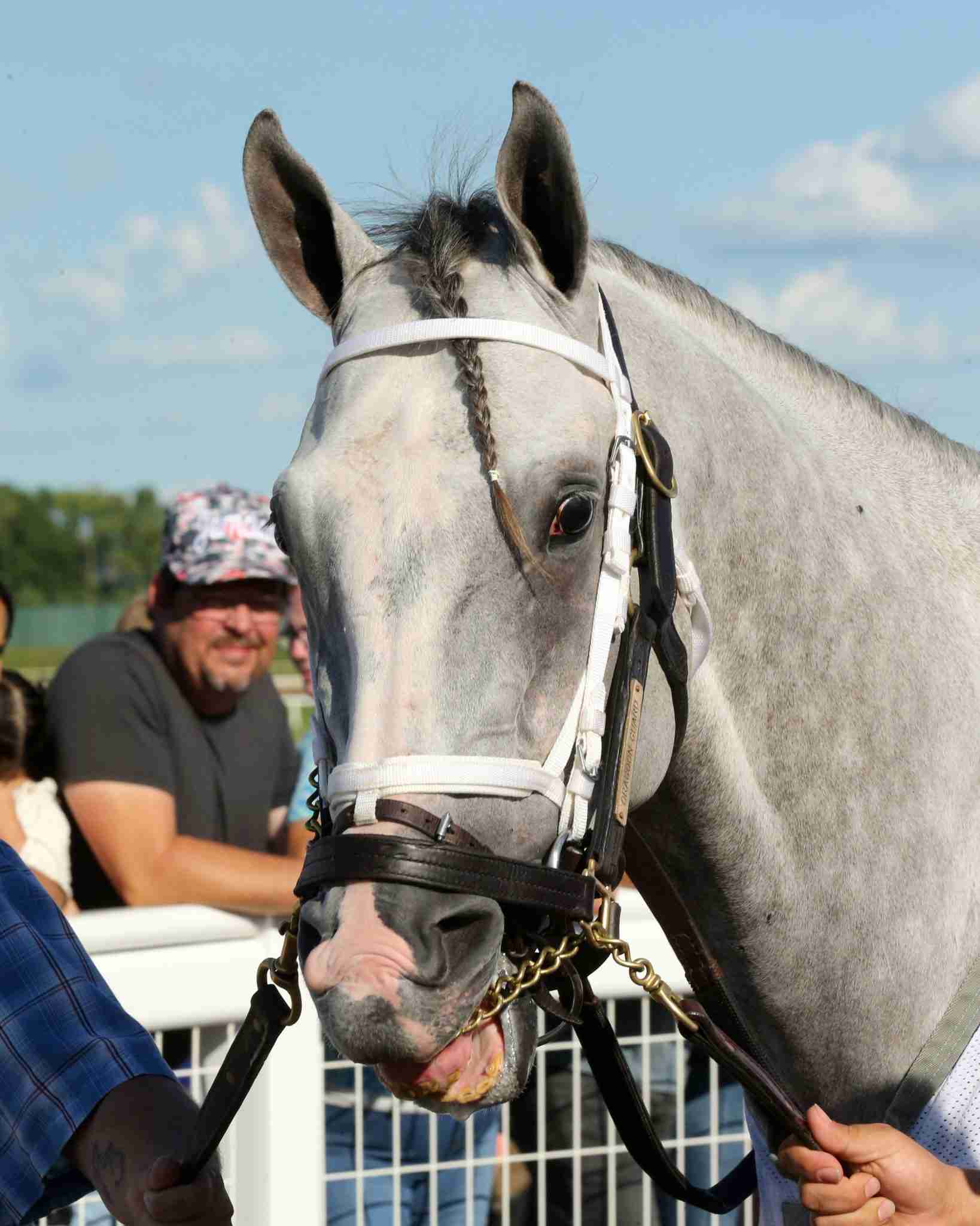 Horseshoe Indianapolis Spring / Summer Meet - The Pressbox