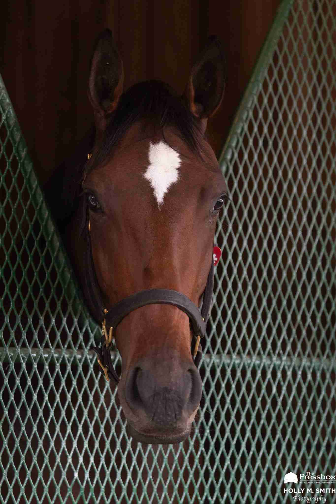 Notes & Quotes From G1 Breeders’ Cup Distaff: Scylla