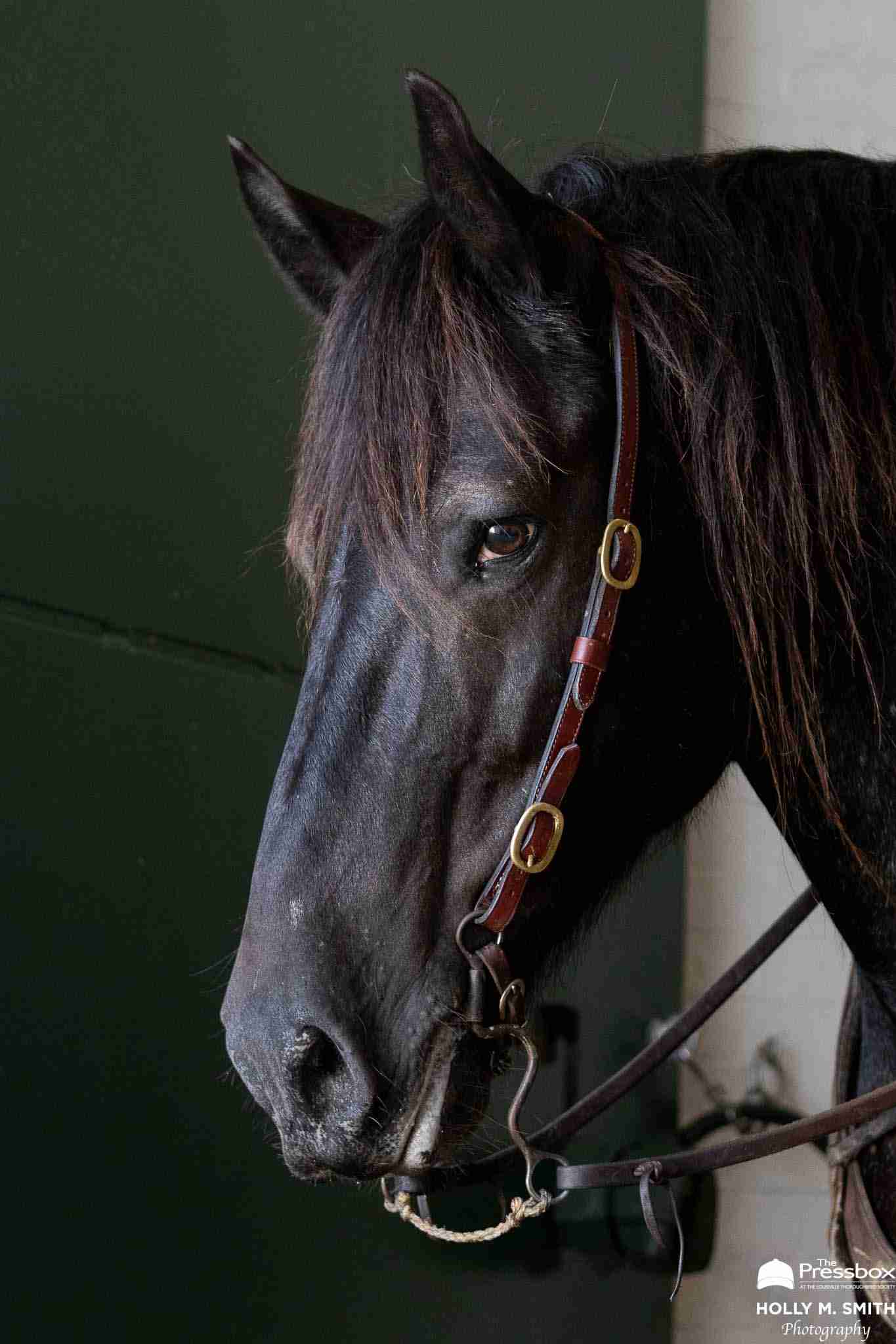 McLean's Selections for Churchill Downs on Saturday, Sept. 21 - The