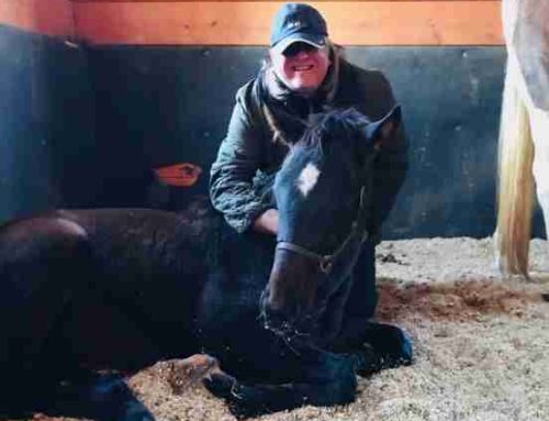 McLean’s “Donation Play of the Day” at Horseshoe Indianapolis: Deflected in 2nd Race