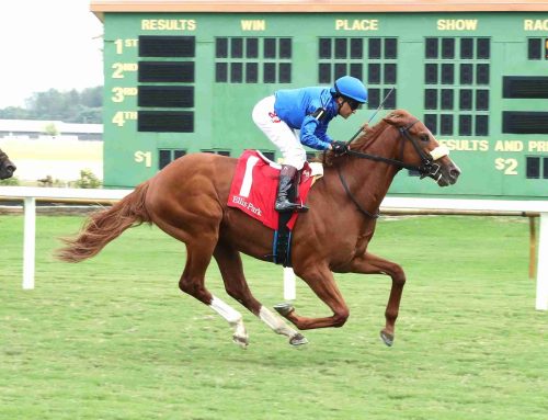 G1 Pegasus World Cup Report: Poster To Get Blinkers for Saturday’s $3 Million Purse