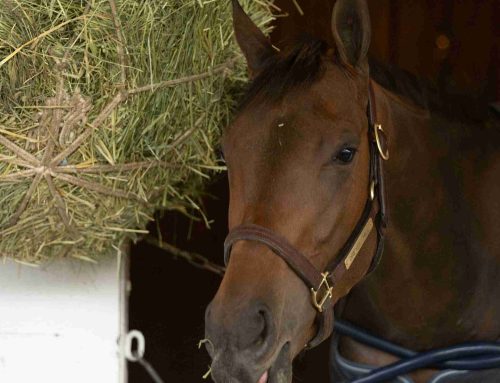 Six Other Stakes Drawn for KY Oaks Day: $1 Million La Troienne Attracts Field of 11