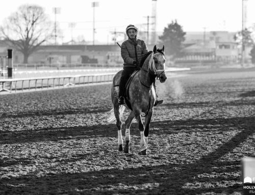 Churchill Downs’ Barn Notes: Hit Show Is Back In Town For Stephen Foster Preview Day Showcase