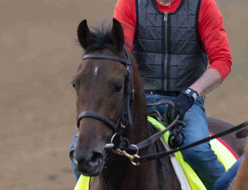 Work Schedule for Sunday, Jan. 25: Binoculars Focused On Several Kentucky Derby Contenders, Burnham Square, Lush Lips, East Avenue & So Much More