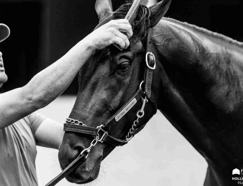 Fair Grounds’ Barn Notes: Flying Mohawk Returns in Woodchopper Stakes Today