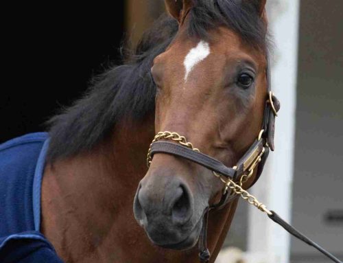 Santa Anita Barn Notes: Journalism Gets Work