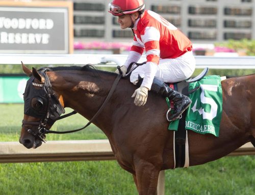 Today’s Work Tab for Feb. 25: Binoculars Focus On Gin Gin, Minaret Station