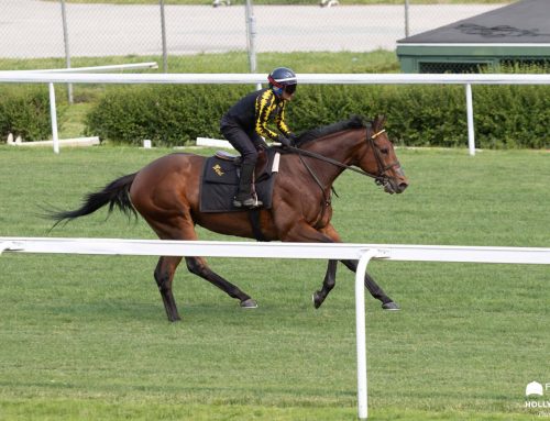 Turfway Park Barn Notes: Arrest Me Red Set To Defend Title in Saturday’s Big Daddy Stakes