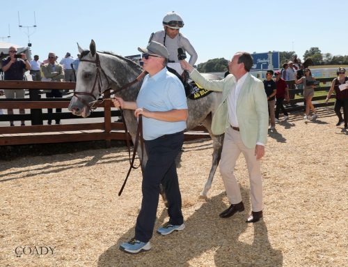 G1 Jaipur Stakes Preview: Ag Bullet Ready to Fire Again?