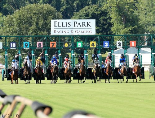 Ellis Park Announces 2026 Stakes Schedule Worth $4.125 Million