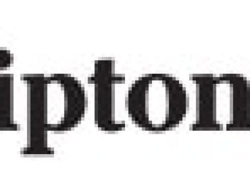 Dam of $2.3 Million Jackie Warrior 2YO Now In Fasig-Tipton Digital Sale