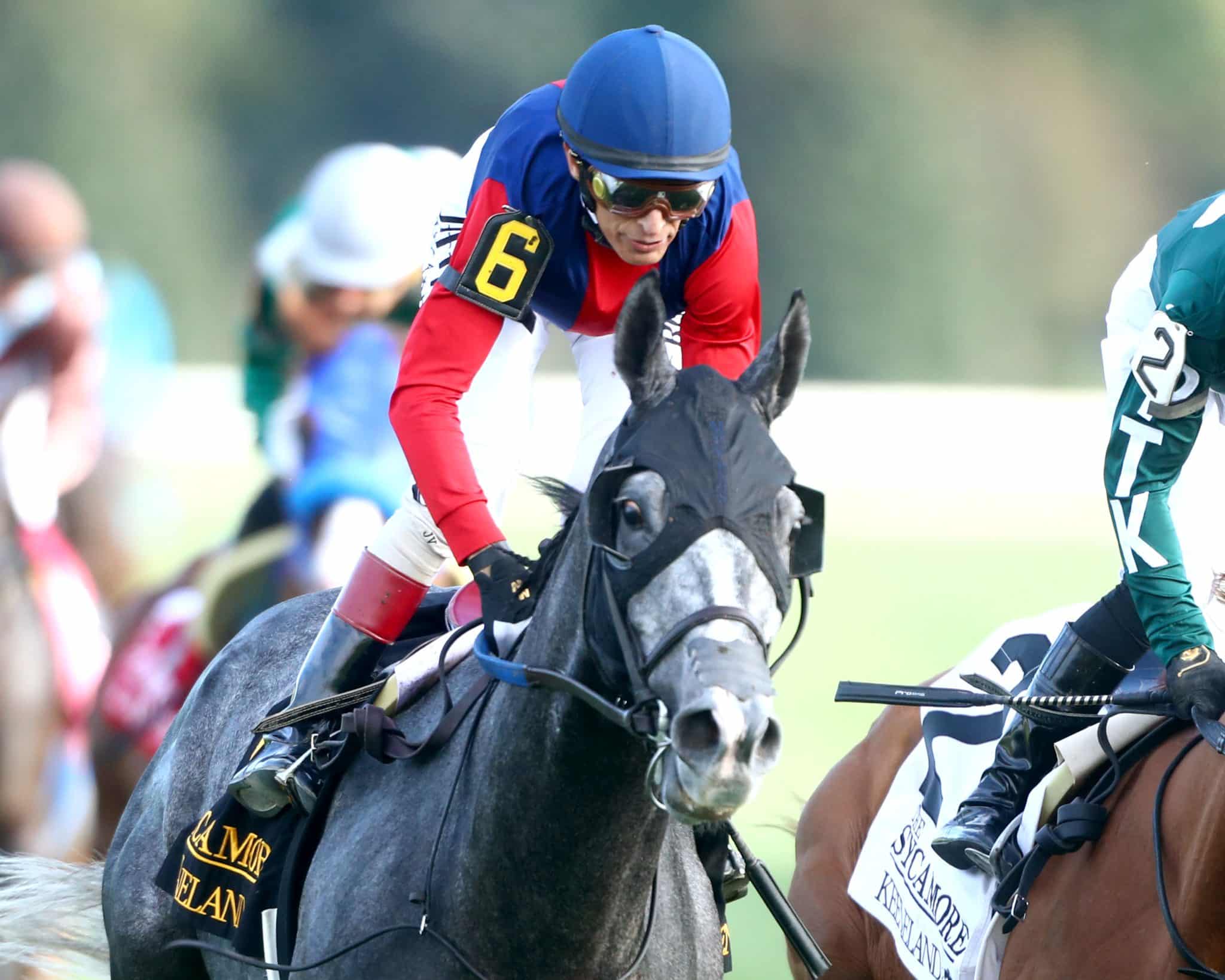Notes, Quotes & Photos From G2 Sycamore Stakes: Desvio