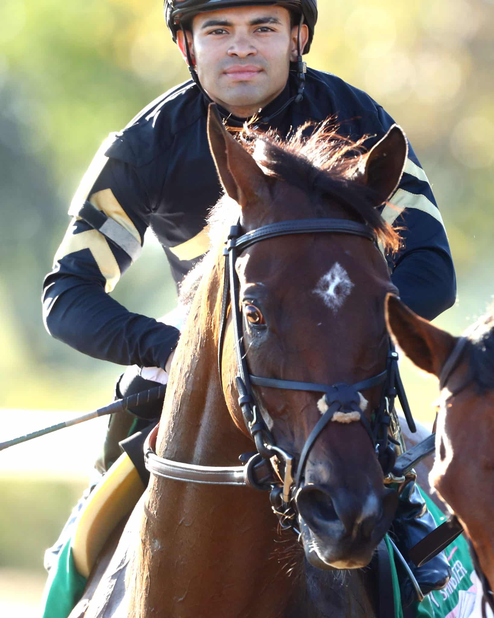Keeneland Barn Notes: Gin Gin Works for Breeders’ Cup
