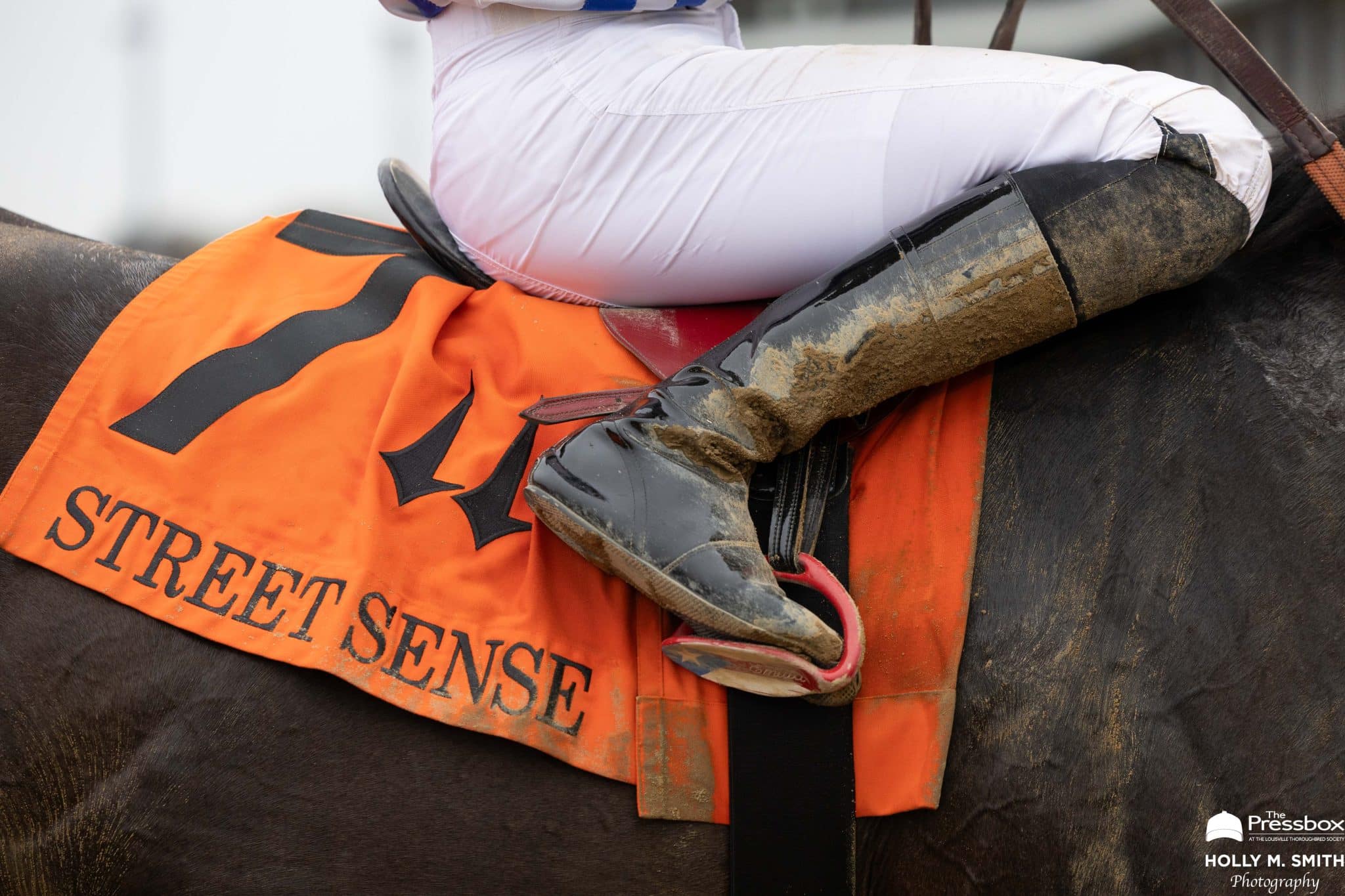 Notes, Quotes & Photos From the Street Sense Stakes, Rags to Riches Stakes: Incredibolt & Life of Joy