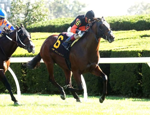 Keeneland Barn Notes II: Schwarzenegger Is Back for More