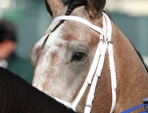 “Road to Kentucky Derby” ’26 Leaderboard: Ted Noffey Stands #1