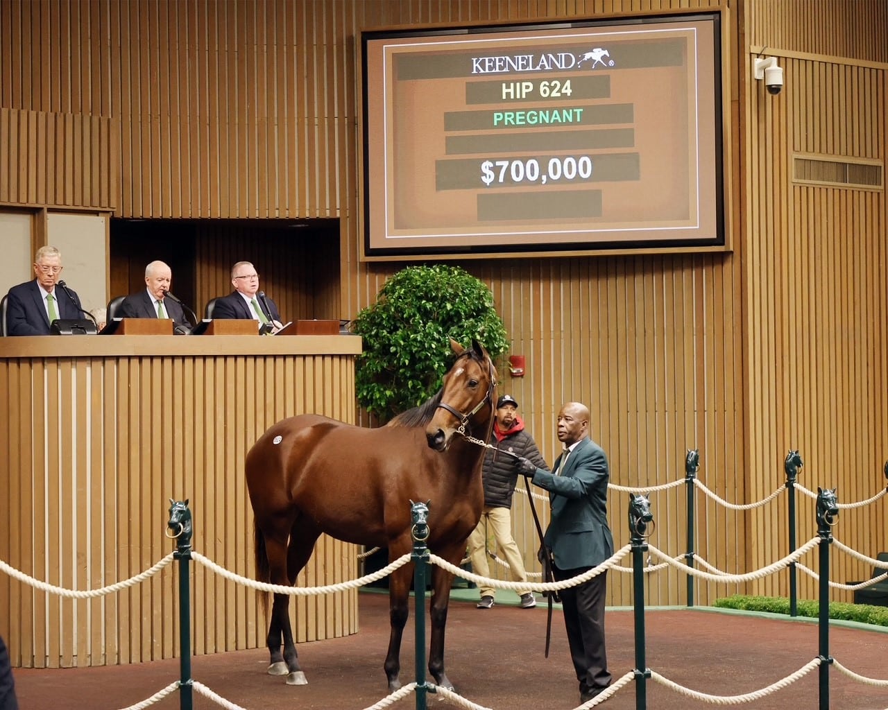 Keeneland November Breeding Stock Sale: Taylor Swifter Brings $700,000