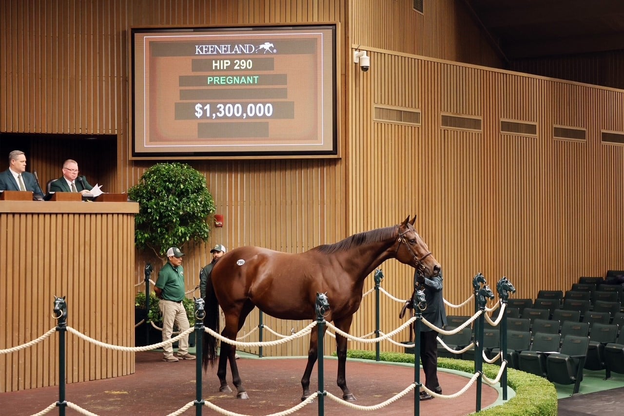 Keeneland November Breeding Stock Sale: Anywho Brings $1.3 Million