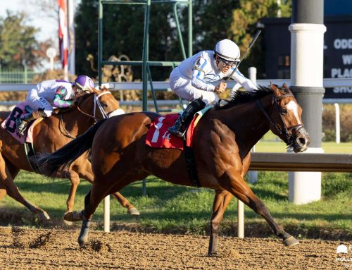Soaring Softly Stakes Preview: Slay the Day May Have Her Way