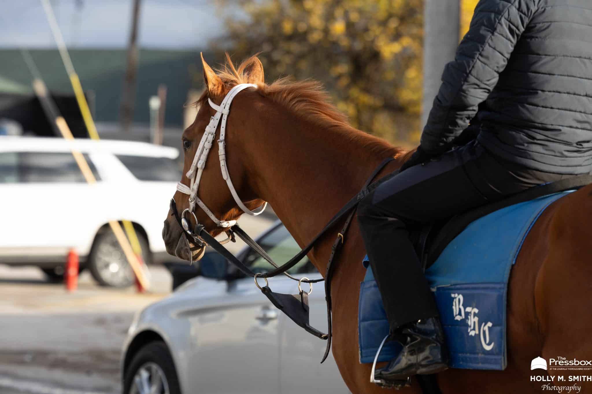 Thanks for Thanksgiving & Thanks, Almighty, For Holly M. Smith: Her Turkey Day Views at Churchill Downs