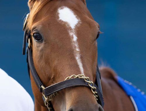 Keeneland Barn Notes: Further Ado Is ML Favorite For Saturday’s G1 Toyota Blue Grass Stakes