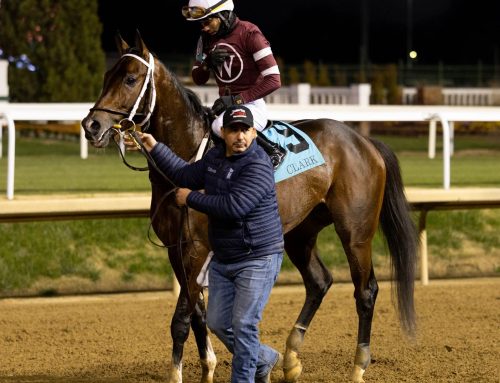 Magnitude Upsets Forever Young in Dubai World Cup