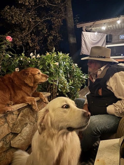 Updated With Comments: McLean’s Selections for Churchill Downs on “Stars of Tomorrow II” Saturday — Nov. 29