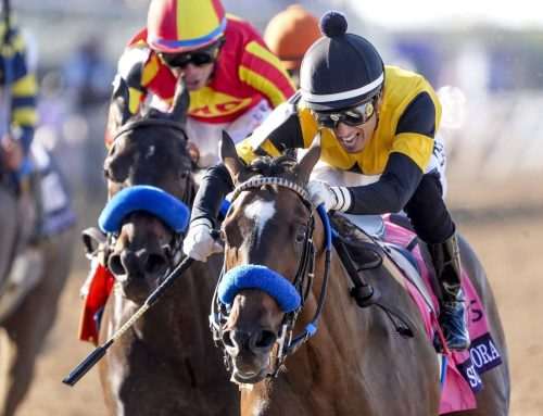 Santa Anita Barn Notes: Corredora Named Champion 2YO Filly