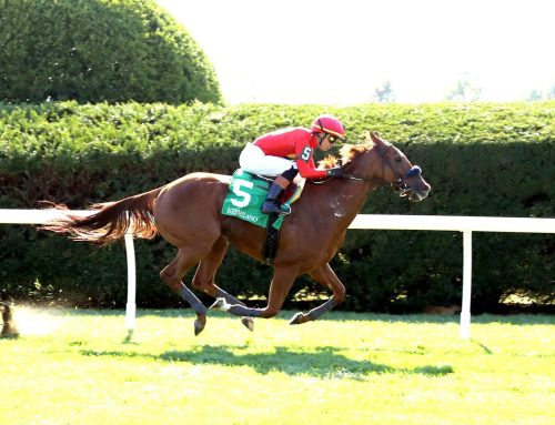 Churchill Downs’ Barn Notes: Sultana, Ayra Stark Face Off in Saturday’s Keertana Stakes