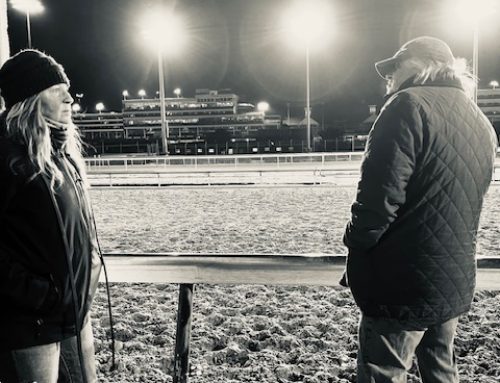 McLean’s Selections for Turfway Park on Wednesday, Jan. 14