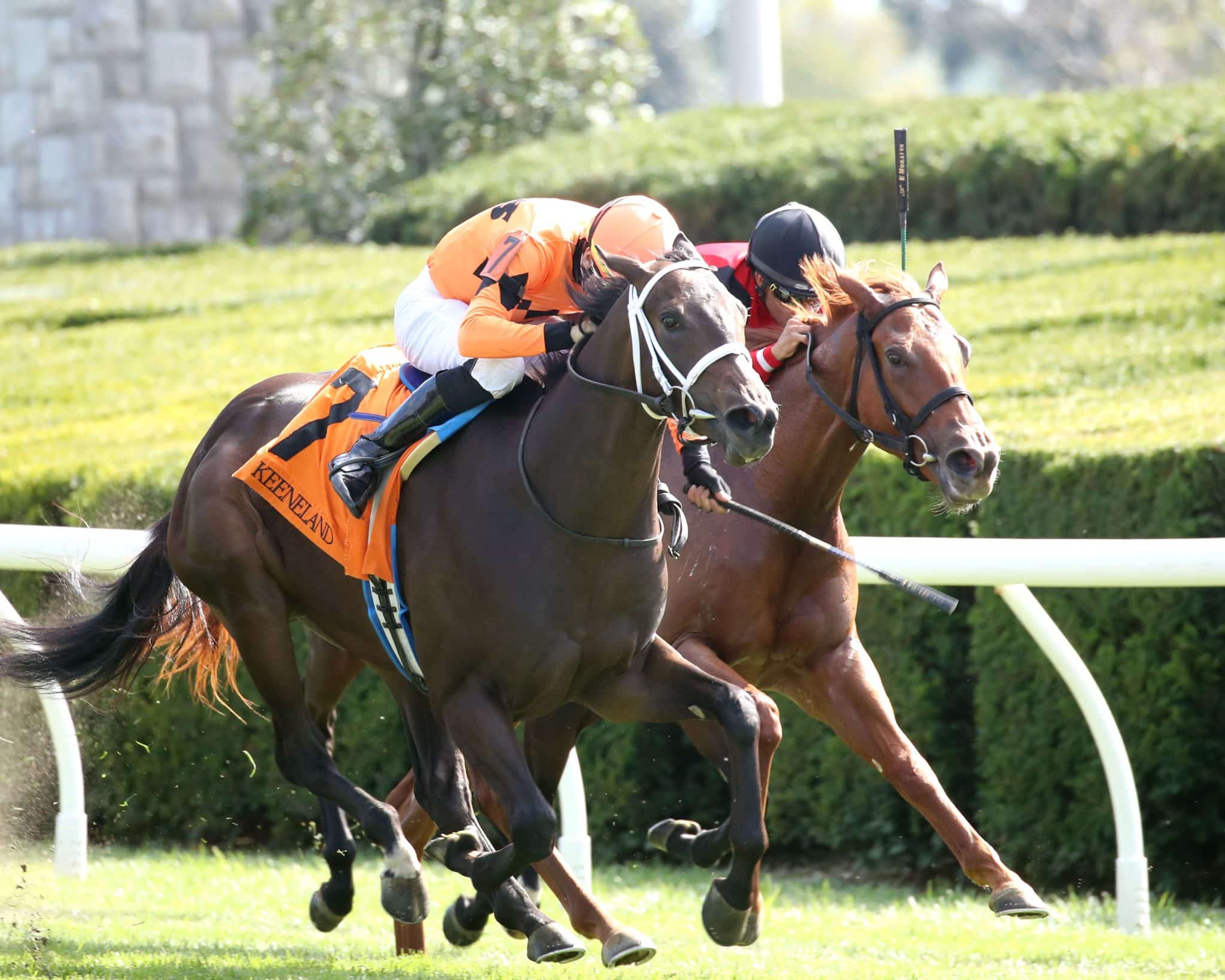 Turfway Park Barn Notes: Map of the Moon Returns in Gowell Stakes