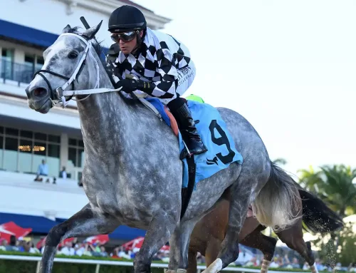 Notes, Quotes From Rampart Stakes: Sterling Silver