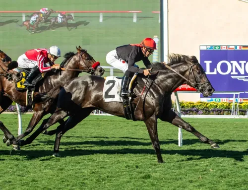 Santa Anita Barn Notes: Winter Meet Begins on Sunday