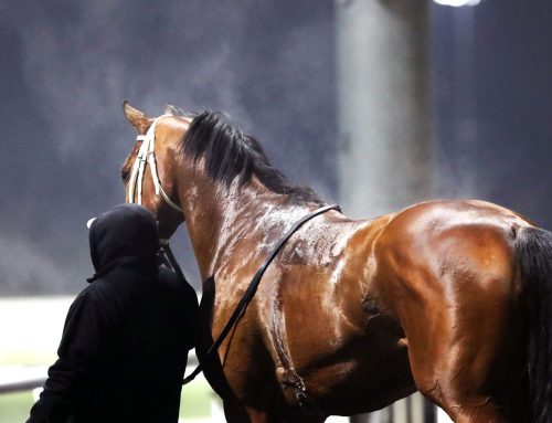 Turfway Park Moves Synthetic Championships to Dec. 21