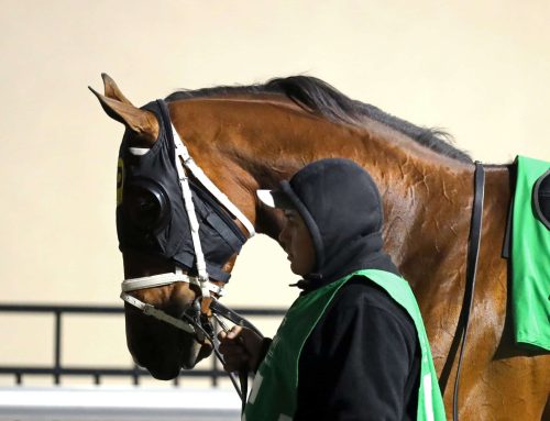 Turfway Park Has Mandatory Payout in Single 6 Today