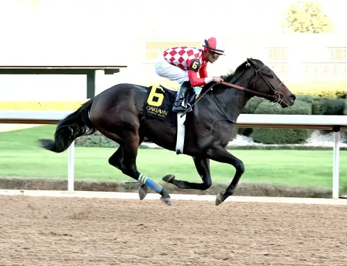 Notes, Quotes From Pippin Stakes: Standoutsensation