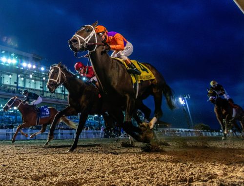 Notes & Quotes From the G3 Louisiana Stakes: Accelerize