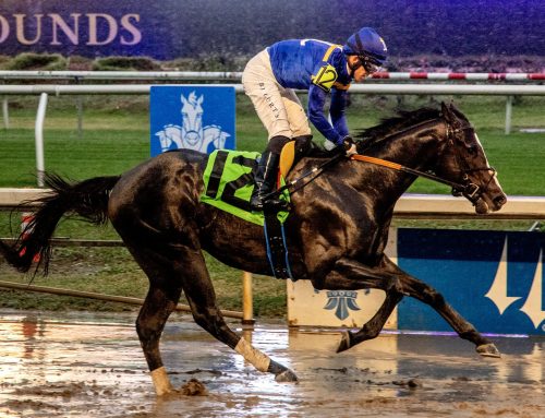 Keeneland Barn Notes II: Carson Street Cuts Back in 7-Furlong Lafayette Stakes