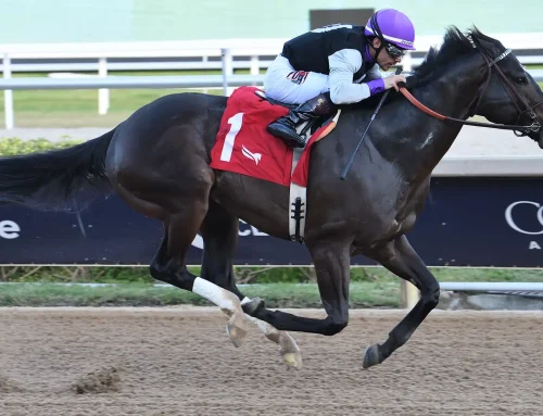 Notes & Quotes From the Sunshine Sprint Stakes: Damon’s Mound