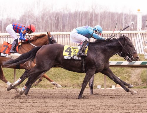 Point Dume, Quint’s Brew Take Stakes at Laurel Park on Saturday