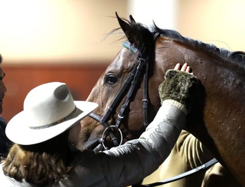 Keeneland Barn Notes III: Street Beast Back on the Grass Road In G3 Transylvania Stakes This Friday