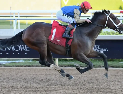 Gulfstream Park Barn Notes: Commandment May Command Respect After Saturday’s G2 Fountain of Youth