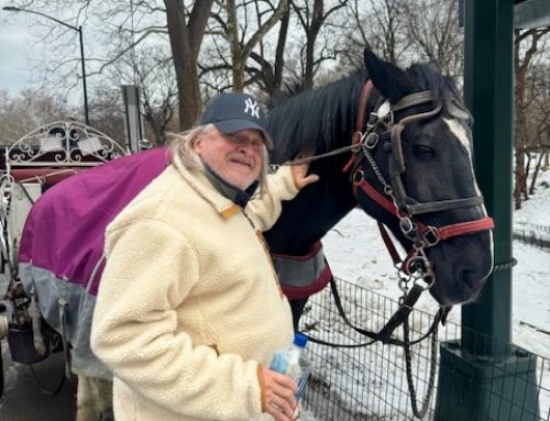 McLean’s Selections for Horseshoe Indy on Tuesday, April 21