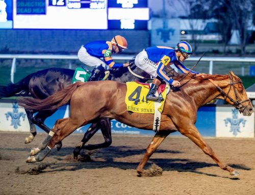 “Road to Kentucky Derby ’26:” Paladin Stays #1