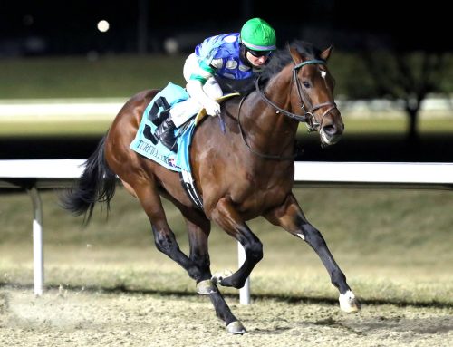 “Road to Kentucky Derby:” Ready for Another Turn? This Week Is John Battaglia Stakes at Turfway Park