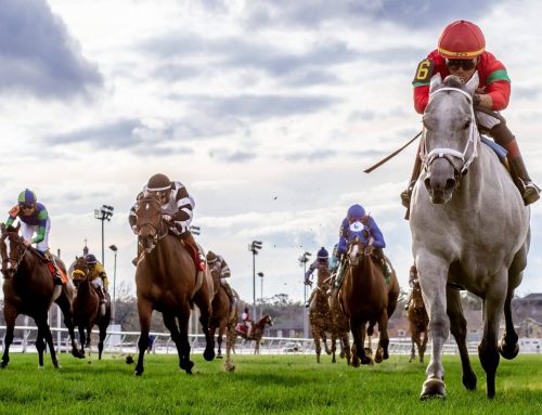 Notes & Quotes From the Mardi Grass Stakes: Shining Star